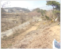  2024Ÿ��982  ���ð��