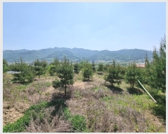  2024Ÿ��1404 ��� ���ֽ� �Ӽ��� ��̸� ��20-2      ����(�Ӿ�)���