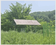  2024Ÿ��1756  ���ð��