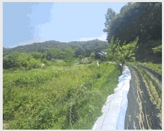  2024Ÿ��1756  ���ð��