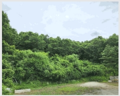  2024Ÿ1909  ֽ ̸  59      ڽü,,ȣ,