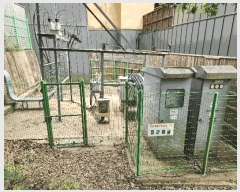  2024Ÿ1909  ֽ ̸  59      ڽü,,ȣ,