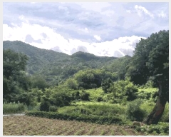  2024Ÿ2278    긮 1570      (1)