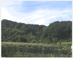  2024Ÿ2278    긮 1570      (1)