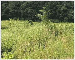  2024Ÿ2278    긮 1570      (1)