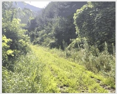  2024Ÿ2278    긮 1570      (1)