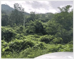  2024Ÿ2278    긮 1570      (1)