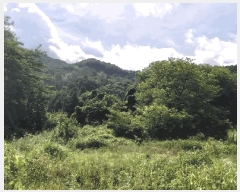  2024Ÿ2278    긮 1570      (1)