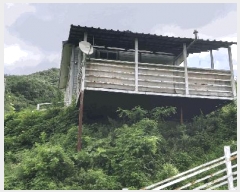  2024Ÿ2278    긮 1570      (1)