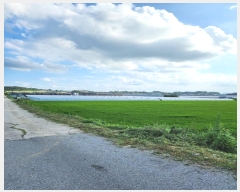  2024Ÿ2360   ͵  688      ()