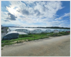  2024Ÿ2360   ͵  688      ()