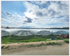  2024Ÿ2360   ͵  688      ()