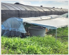  2024Ÿ2360   ͵  688      ()