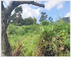  2024Ÿ2452    õ 575-9      ()