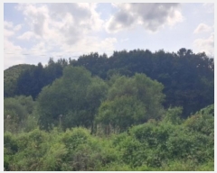  2024Ÿ2452    õ 575-9      ()