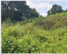  2024Ÿ2452    õ 575-9      ()