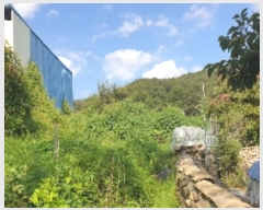  2024Ÿ2452    õ 575-9      ()