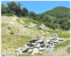  2024Ÿ��2506 ��� ���ֽ� ������ ������ 125      ����(��)���