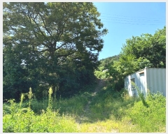  2024Ÿ��2506 ��� ���ֽ� ������ ������ 125      ����(��)���