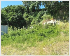  2024Ÿ��2506 ��� ���ֽ� ������ ������ 125      ����(��)���