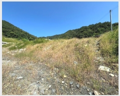  2024Ÿ��2506 ��� ���ֽ� ������ ������ 125      ����(��)���