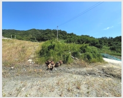  2024Ÿ��2506 ��� ���ֽ� ������ ������ 125      ����(��)���