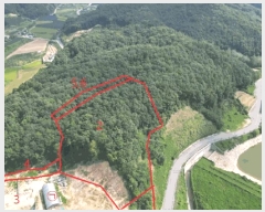  2024Ÿ��2575 ��� ������ ������ ��õ�� ��61-1      ����(�Ӿ�)���