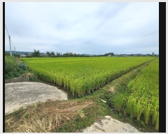  2024Ÿ��2612  ����