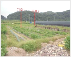  2024Ÿ2667    븮 173-4      (1)