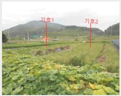  2024Ÿ2667    븮 173-4      (1)