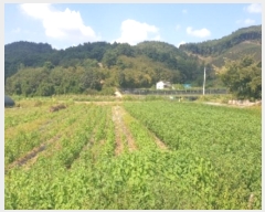  2024Ÿ2667    븮 173-4      (1)