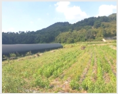  2024Ÿ2667    븮 173-4      (1)