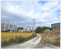  2024Ÿ3189   ݿ ظ 535-32      (Ӿ)