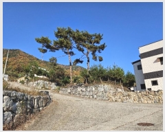  2024Ÿ��3240 ��� ���ֽ� ���ε� 102-7       ����(������)���