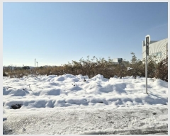  2024Ÿ3486   ͵ μ 1514      ()