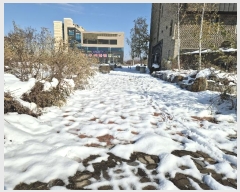  2024Ÿ3486   ͵ μ 1514      ()