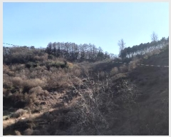  2024Ÿ��3578 ��� ���ֽ� ���ε� 713       ����(��1)���