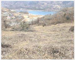  2024Ÿ��3578 ��� ���ֽ� ���ε� 713       ����(��1)���