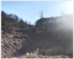  2024Ÿ��3578 ��� ���ֽ� ���ε� 713       ����(��1)���