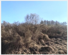  2024Ÿ��3578 ��� ���ֽ� ���ε� 713       ����(��1)���