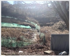  2024Ÿ��3578 ��� ���ֽ� ���ε� 713       ����(��1)���