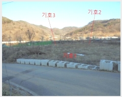  2024Ÿ30785    츮 175      (1)