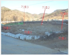  2024Ÿ30785    츮 175      (1)