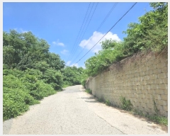  2024Ÿ��33401 ��� ������ �ݿ��� �ֺ��� 22      ������