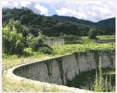  2024Ÿ33654    õ 22-4      (Ӿ)