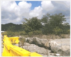  2024Ÿ33654    õ 22-4      (Ӿ)