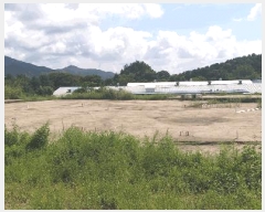  2024Ÿ33654    õ 22-4      (Ӿ)