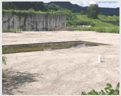  2024Ÿ33654    õ 22-4      (Ӿ)