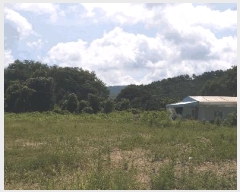  2024Ÿ33654    õ 22-4      (Ӿ)