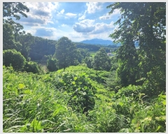  2024Ÿ33753  ֽ   790-2      (Ӿ)